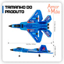 avião de controle remoto
