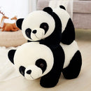 Urso de Pelúcia Panda Pequeno Barato - Amor & Mãe